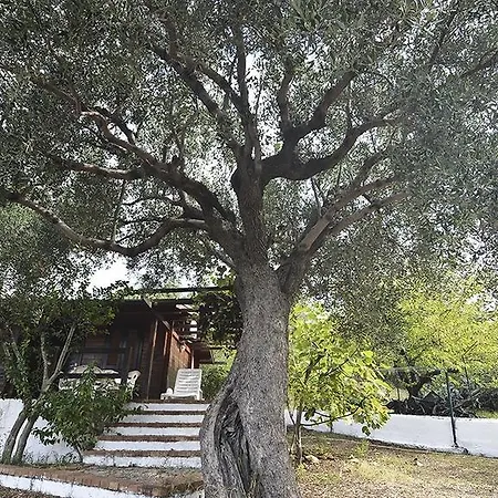 Primula Tatil Evi Marina di Camerota