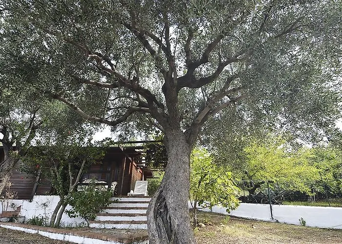 Primula Ferienhaus Marina di Camerota