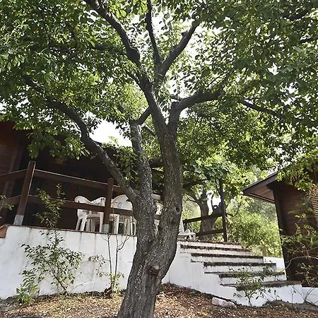 Ferienhaus Primula Marina di Camerota